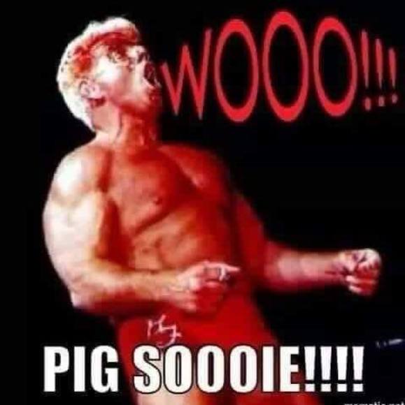 Meet your Posher, Chuck - Picture 1 of 1